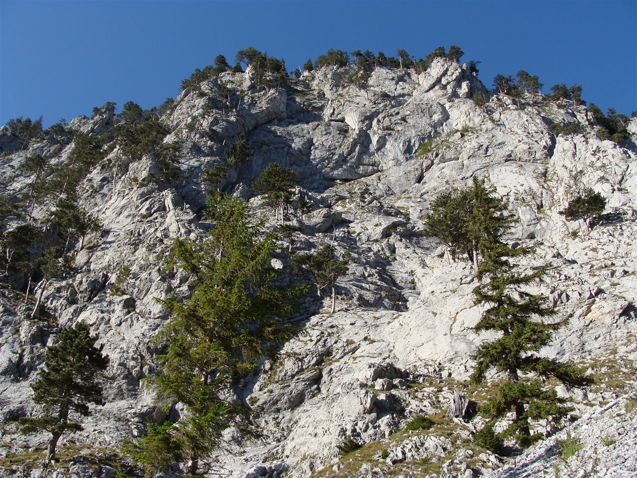 Mehrseillängentour nach Vereinbarung