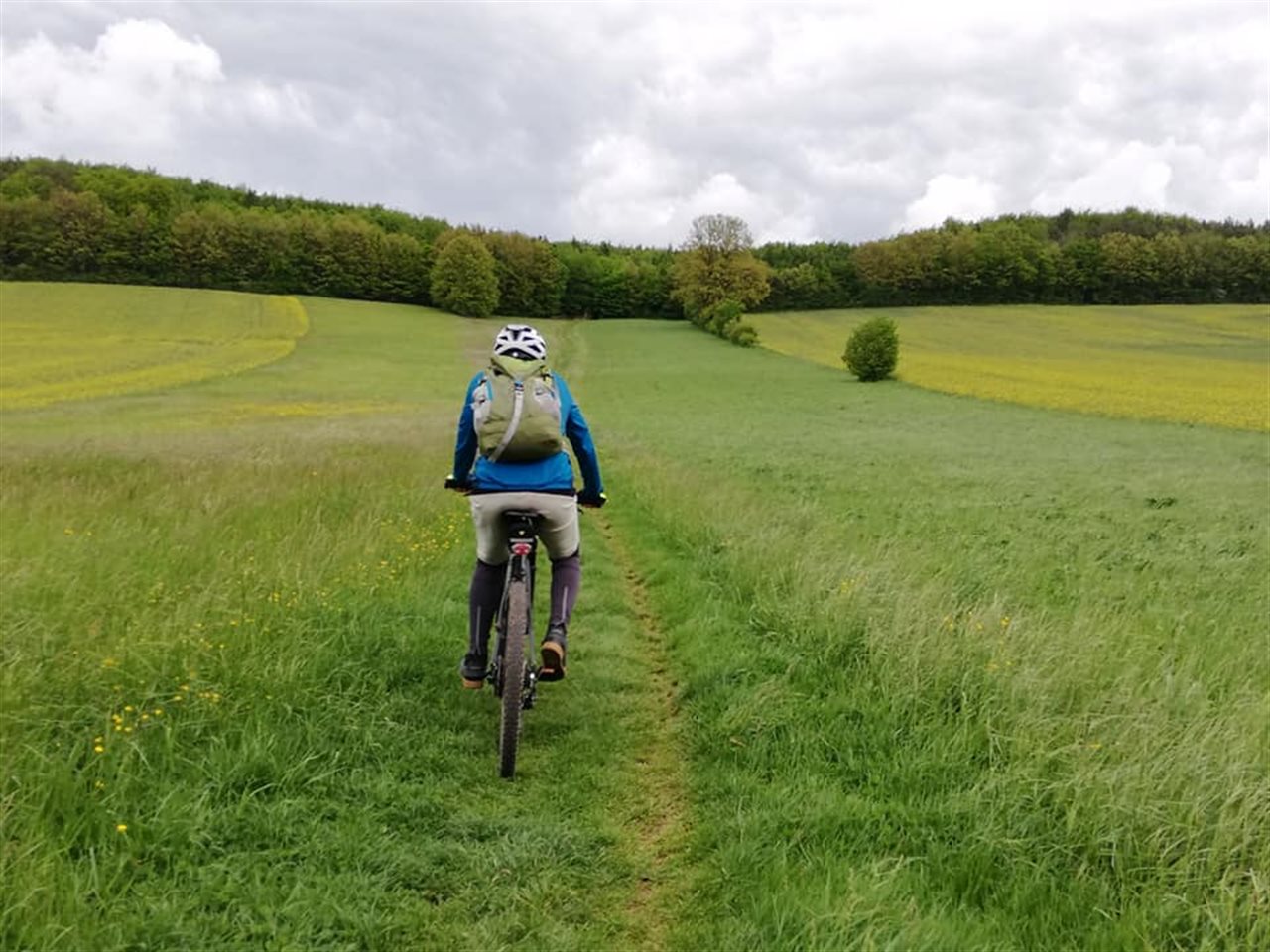 Die schönsten MTB Strecken ...