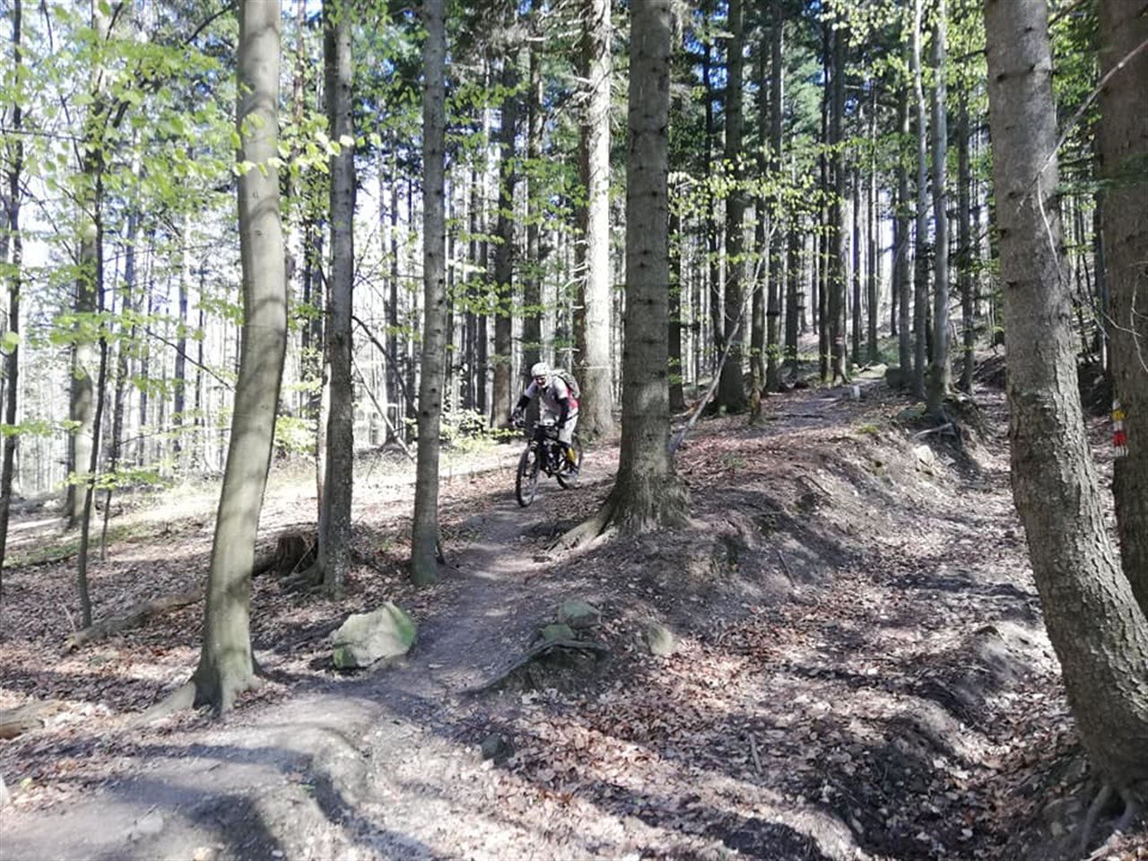 Die schönsten MTB Strecken ...