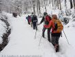 ÖGV-Winterwanderung